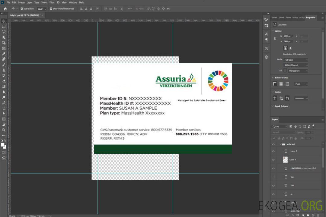 Carte d'assurance maladie du Suriname template